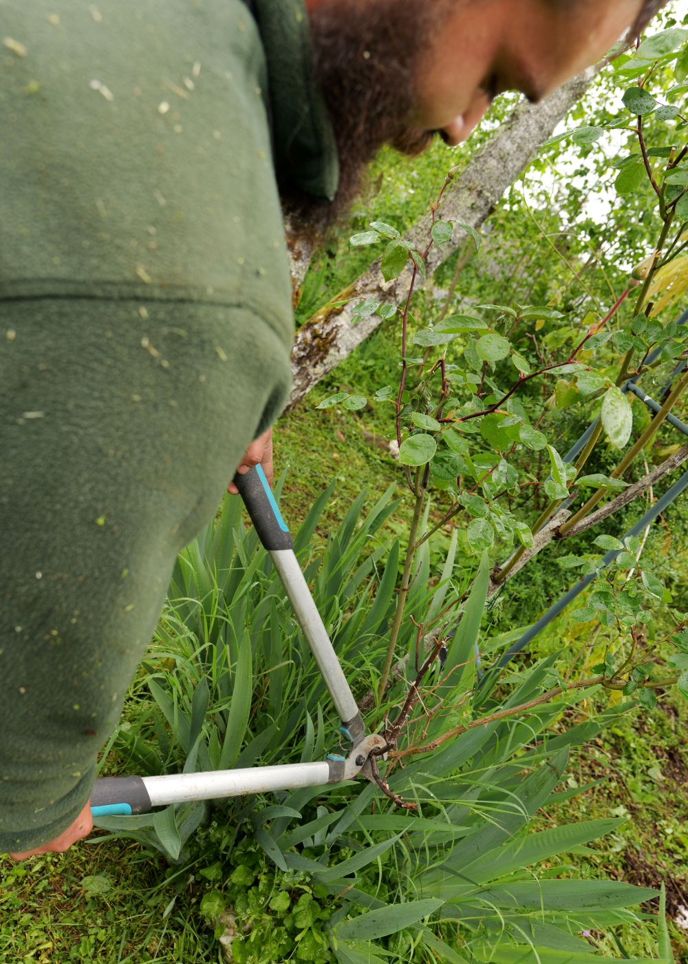 désherbage montignac-lascaux